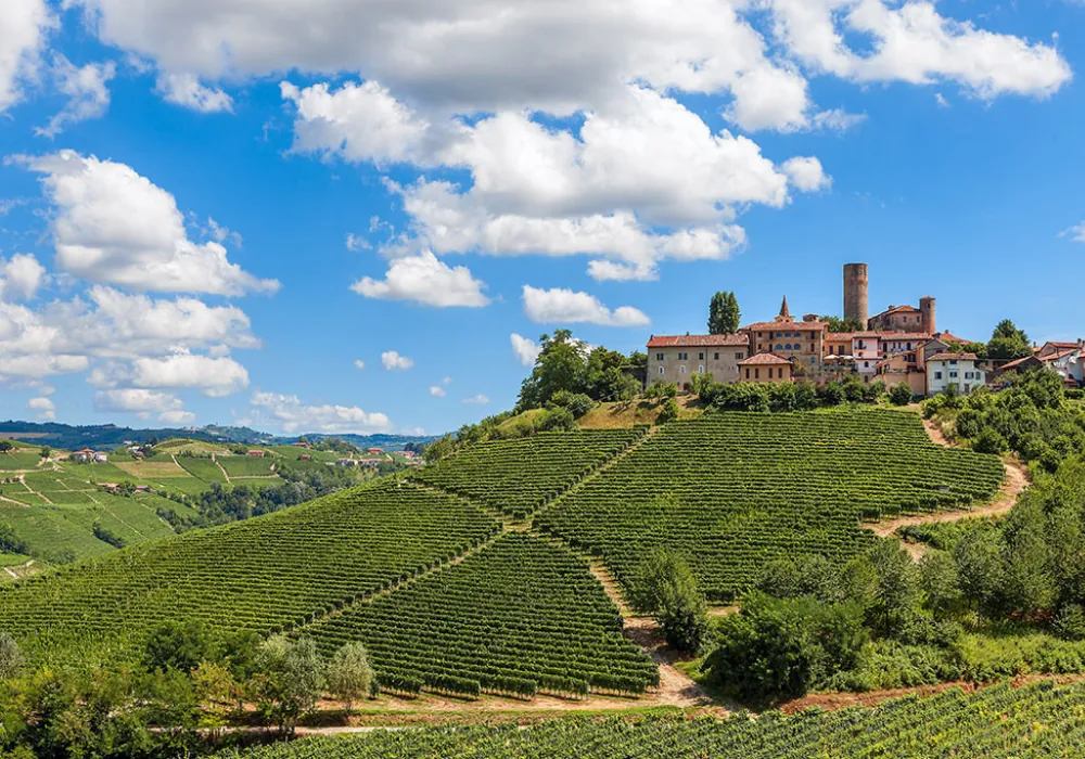 Vinhedos de Barolo